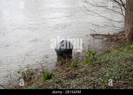 Worcester River Severn überschwemmt. 23/02/20120 Worcester, England, Großbritannien. Wasser aus dem ersten Hochwasser in diesem Jahr tritt zurück ein Abfalleimer ruht gegen die Bank. Stockfoto