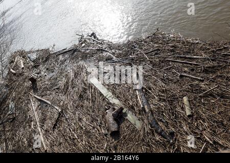 Worcester River Severn überschwemmt. 23/02/20120 Worcester, England, Großbritannien. Wasser aus den ersten Überschwemmungen in diesem Jahr scheint Sun auf den einst überschwemmten Schutt des Flusses severn Worcester Stockfoto