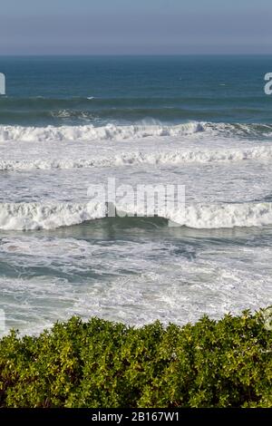 Meeresküste mit Gras, Bewegungswellen mit Schaum. Windkraft. Türkisfarbenes Wasser. Stockfoto