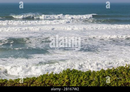Meeresküste mit Gras, Bewegungswellen mit Schaum. Windkraft. Türkisfarbenes Wasser. Stockfoto