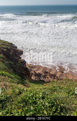 Meeresküste mit Gras, Bewegungswellen mit Schaum. Windkraft. Türkisfarbenes Wasser. Stockfoto