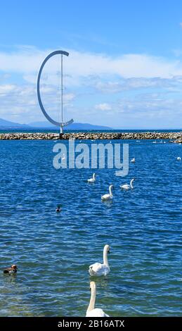 Eingang zum Hafen Ouchi mit den schönen Schwänen, Steinmole, großem Symbol und blauem Frühlingskimmel auf dem Hintergrund. Schweiz In Lausanne Stockfoto