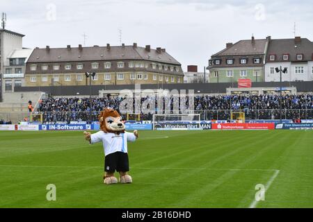 München, Deutschland. Februar 2020. Randmotiv-Loewen-Maskottchen Sechzgerle läuft über den Platz - im Hintergrund die umliegenden Häuser und Gebäude. Fußball 3. Liga, 25. Spieltag, TSV München 1860 - 1.FC Magdeburg 1-1, am 23.02.2020. Stadion an der Gruenwalder Straße in München verbieten DFL-REGELUNGEN JEDE VERWENDUNG VON FOTOS ALS BILDSEQUENZEN UND/ODER QUASI-VIDEO. Weltweite Nutzung Credit: Dpa / Alamy Live News Stockfoto