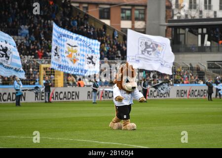 München, Deutschland. Februar 2020. Randmotiv-Loewen Maskottchen Sechzgerle läuft über den Platz. Fußball 3. Liga, 25. Spieltag, TSV München 1860 - 1.FC Magdeburg 1-1, am 23.02.2020. Stadion an der Gruenwalder Straße in München verbieten DFL-REGELUNGEN JEDE VERWENDUNG VON FOTOS ALS BILDSEQUENZEN UND/ODER QUASI-VIDEO. Weltweite Nutzung Credit: Dpa / Alamy Live News Stockfoto