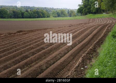 Furchen eines Bauern pflügten Feld, das die braune Erde und mit Bäumen im Hintergrund zeigt Stockfoto