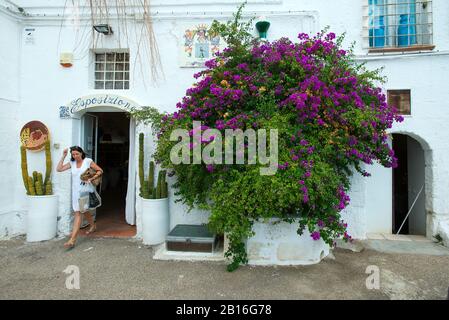 Keramikgeschäft, Grottaglie, Apulien, Italien Stockfoto