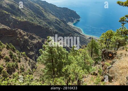 Mirador de Las Playas liegt im Kiefernwald auf der Insel El Hierro. Spektakuläre Ausblicke vom Punkt über den Wolken. Kanarische Inseln, Spanien Stockfoto