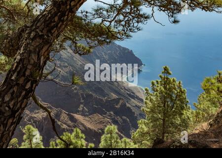 Mirador de Las Playas liegt im Kiefernwald auf der Insel El Hierro. Spektakuläre Ausblicke vom Punkt über den Wolken. Kanarische Inseln, Spanien Stockfoto