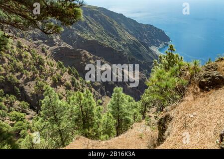 Mirador de Las Playas liegt im Kiefernwald auf der Insel El Hierro. Spektakuläre Ausblicke vom Punkt über den Wolken. Kanarische Inseln, Spanien Stockfoto