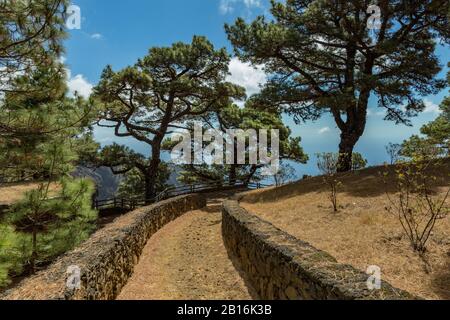 Mirador de Las Playas liegt im Kiefernwald auf der Insel El Hierro. Spektakuläre Ausblicke vom Punkt über den Wolken. Kanarische Inseln, Spanien Stockfoto