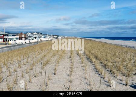 Schützende, speziell entwickelte Sanddünen, die 2019 in Lavallette, New Jersey USA, gebaut wurden. Solche Dünen sind erforderlich, nachdem Superstorm Sandy im Jahr 2012 getroffen hatte. Stockfoto