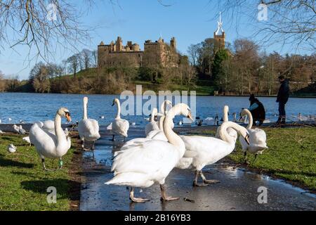 Cala Homes, Linlithgow Palace Stockfoto