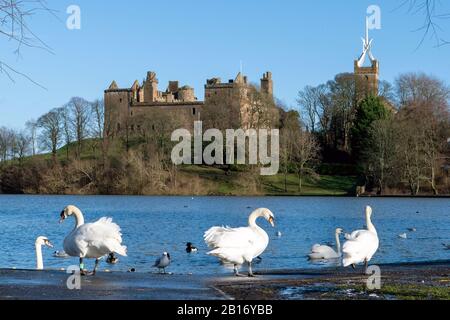 Cala Homes, Linlithgow Palace Stockfoto