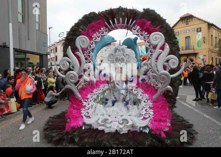 Februar 2020: 23. februar 2020 (Málaga) Die Parade und die große Parade des Karnevals von Málaga fand heute Sonntag durch die Straßen von málaga statt. Tausende Menschen versammelten sich auf der Larios-Straße, um mehr als eine Tonne Konfetti und 200 Kilo Blumenblätter zu lancieren. (Bild: © Lorenzo CarneroZUMA Draht) Stockfoto