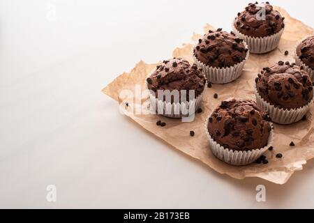 Frische Schokoladenmuffins auf Pergamentpapier Stockfoto