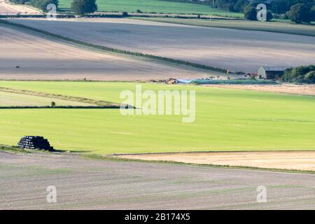 Hackpen Hill, in der Nähe von Swindon, Wiltshire, England Stockfoto