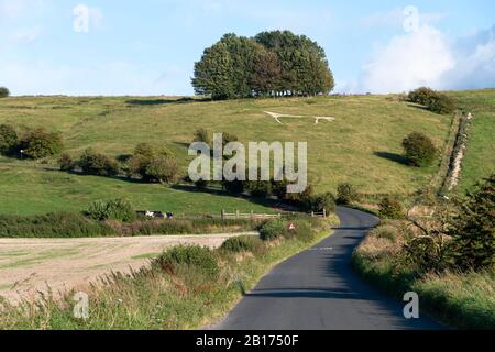 White Horse in Hanglage am Hackpen Hill, in der Nähe von Swindon, Wiltshire, England gehauen Stockfoto