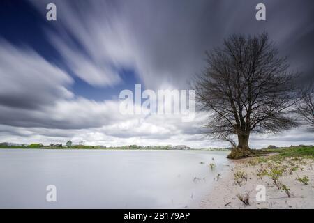 Sich bewegende Wolken über Millingerwaard, Niederlande, Gelderland, Gelderse Poort, Kekerdom Stockfoto