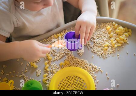 Kleines Kind gießt den gelben Löffel des Spielzeugs voll in der Tasse. Spiele mit Produkten. Montessori-Technik: Entwicklung von guten motorischen Fähigkeiten bei Kindern Stockfoto