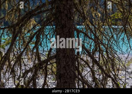 Kinney Lake, mit eiszeitlichem Mehl gefärbt, im Mount Robson Provincial Park, British Columbia, Kanada Stockfoto