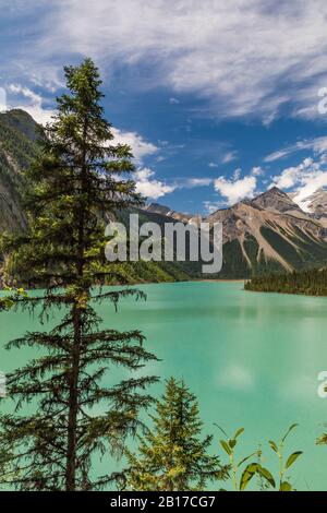 Kinney Lake, mit eiszeitlichem Mehl gefärbt, im Mount Robson Provincial Park, British Columbia, Kanada Stockfoto