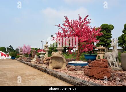 Saigon, VIETNAM - Dezember.12.2020: Rin Rin Park, der einzigartige japanische Park in Vietnam mit Bonsai und Koi-Fischen. Stockfoto