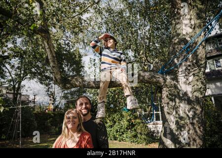 Der Sohn sitzt auf einem Baum im Garten, während die Eltern ihn beobachten Stockfoto