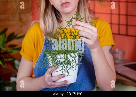 Nahaufnahme der Frau, die sich um eine Rhipsalis Anlage auf ihrer Terrasse kümmert Stockfoto