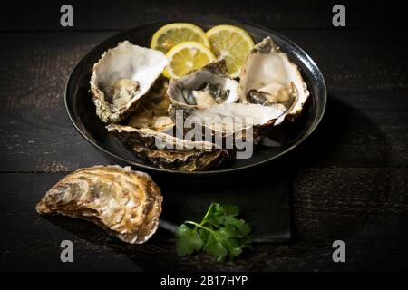 Frische Austern und Zitrone Stockfoto