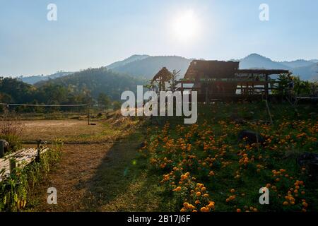 Pai, Thailand - Februar.05.2020: - Menschen trinken Kaffee auf der Pai Bamboo Bridge Boon Ko Ku So in Pai, Mae Hong Son Provinz, Thailand. Stockfoto