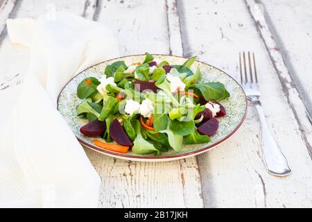 Teller mit Maissalat mit gerösteten Karotten, Rote Bete, rote Zwiebeln und Ziegenkäse Stockfoto