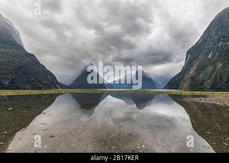 Neuseeland, Ozeanien, Südinsel, Southland, Fiordland National Park, Mitre Peak und Milford Sound Strand bei Ebbe mit grünen Algen auf Kieselsteinen Stockfoto