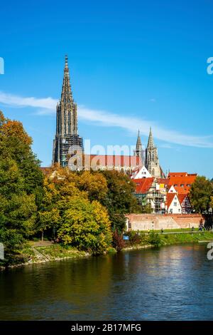 Deutschland, Baden-Württemberg, Ulm, Donauufer mit Ulmer Münster im Hintergrund Stockfoto