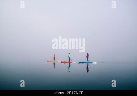 Drei Leute stehen im Nebel auf und surfen auf einem See Stockfoto