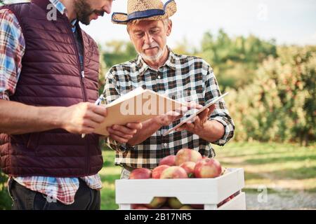 Obstbauer überprüfen die Qualität der geernteten Äpfel Stockfoto