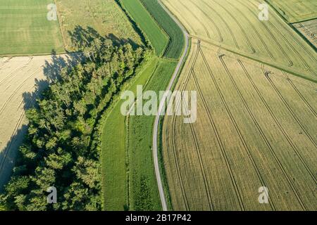 Luftaufnahme der Landstraße in ländlicher Landschaft mit landwirtschaftlichen Feldern, Sommer. Franconia, Bayern, Deutschland. Stockfoto