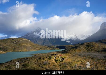 Chile, Patagonien, Magallanes und chilenische Antarktis-Region, Provinz Ultima Esperanza, Nationalpark Torres del Paine, Tote Bäume und Los Cuernos del Pain Stockfoto