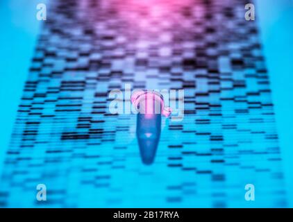 Nahaufnahme der DNA-Probe, die auf der DNA-Sequenzierungstabelle liegt Stockfoto