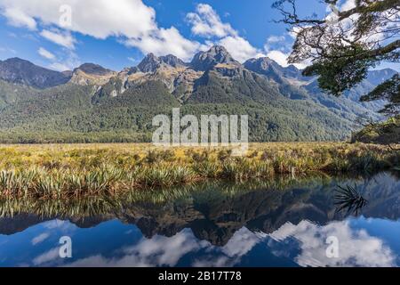 Neuseeland, landschaftlich reizvoller Blick auf Mirror Lakes und bewaldete Berge im Fiordland National Park Stockfoto