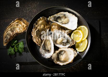 Frische Austern und Zitrone Stockfoto