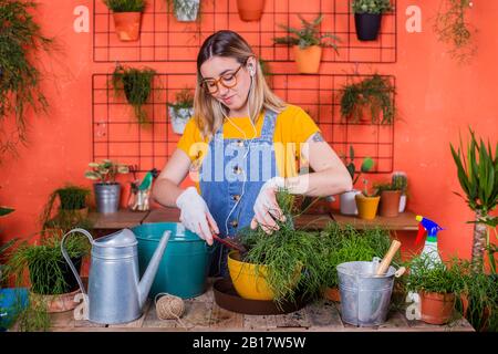 Frau, die Rhipsalis auf ihrer Terrasse abwehrt Stockfoto