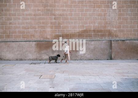 Junge Frau, die mit ihrem Hund in der Stadt spazieren geht Stockfoto