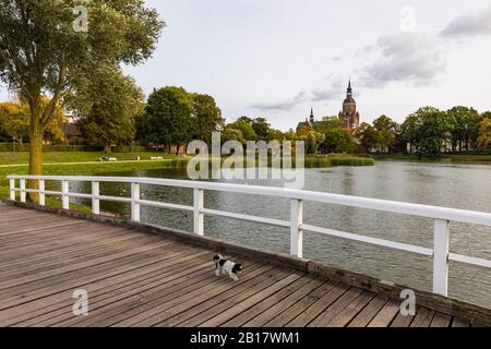 Deutschland, Mecklenburg-Vorpommern, Ostseeküste, Stralsund, Altstadt, Knieperteich, Marienkirche, St.-Marien-Kirche, Brücke, Hund Stockfoto