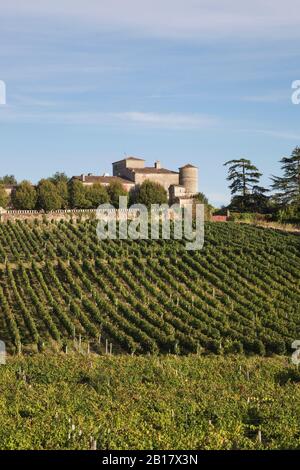 Frankreich, Nouvelle-Aquitaine, Departement Gironde, Weinregion Bordeaux, Weingüter und Chateau Lacaussade Stockfoto