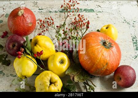 Quitten (Cydonia oblonga) mit Blättern, Hokkaido-Kürbis (Cucurbita maxima), Äpfeln und Hagebutten auf rustikaler Holzfläche Stockfoto