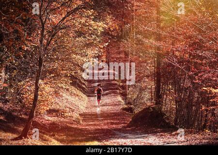 Frau Jogging im Herbstwald Stockfoto