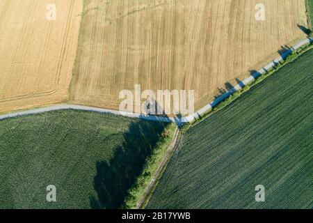 Luftaufnahme von landwirtschaftlichen Feldern mit Mais (Mais) und reifem Getreide mit Landstraße und Schmutzstraße. Franconia, Bayern, Deutschland. Stockfoto