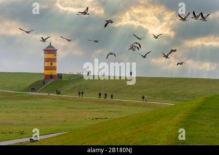 Deutschland, Niedersachsen, Krummhorn, Leuchtturm Pilsum Stockfoto
