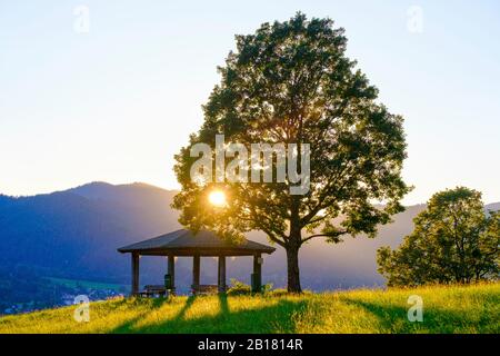 Deutschland, Bayern, Sonnenuntergang scheint durch Zweige von eineineineineineinendem Baum neben leerem Pavillon Stockfoto