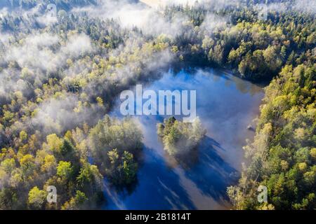 Deutschland, Bayern, Geretsried, Luftaufnahme des Nebels, der den Birkensee und den umliegenden Wald umhüllt Stockfoto